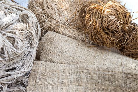 Hemp Fiber 高強度繊維としての応用と持続可能性